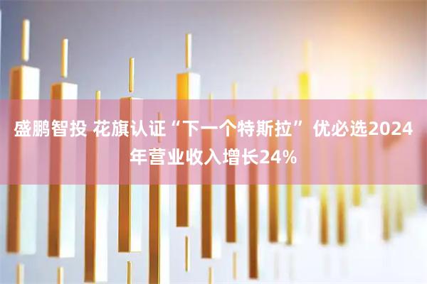 盛鹏智投 花旗认证“下一个特斯拉” 优必选2024年营业收入增长24%