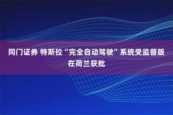 同门证券 特斯拉“完全自动驾驶”系统受监督版在荷兰获批