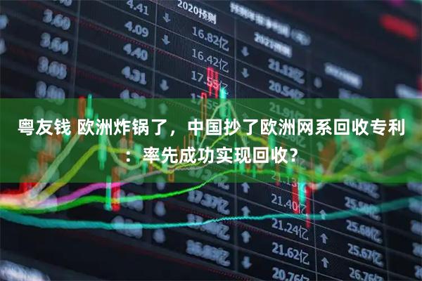 粤友钱 欧洲炸锅了，中国抄了欧洲网系回收专利：率先成功实现回收？